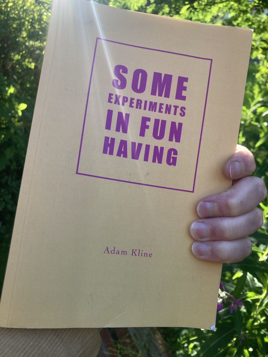 The cover of Some Experiments in Fun Having